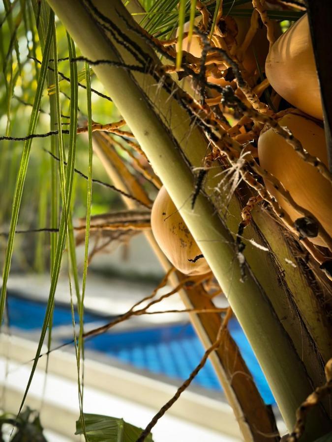 Hakuna Matata Resort Гили-Эйр Экстерьер фото
