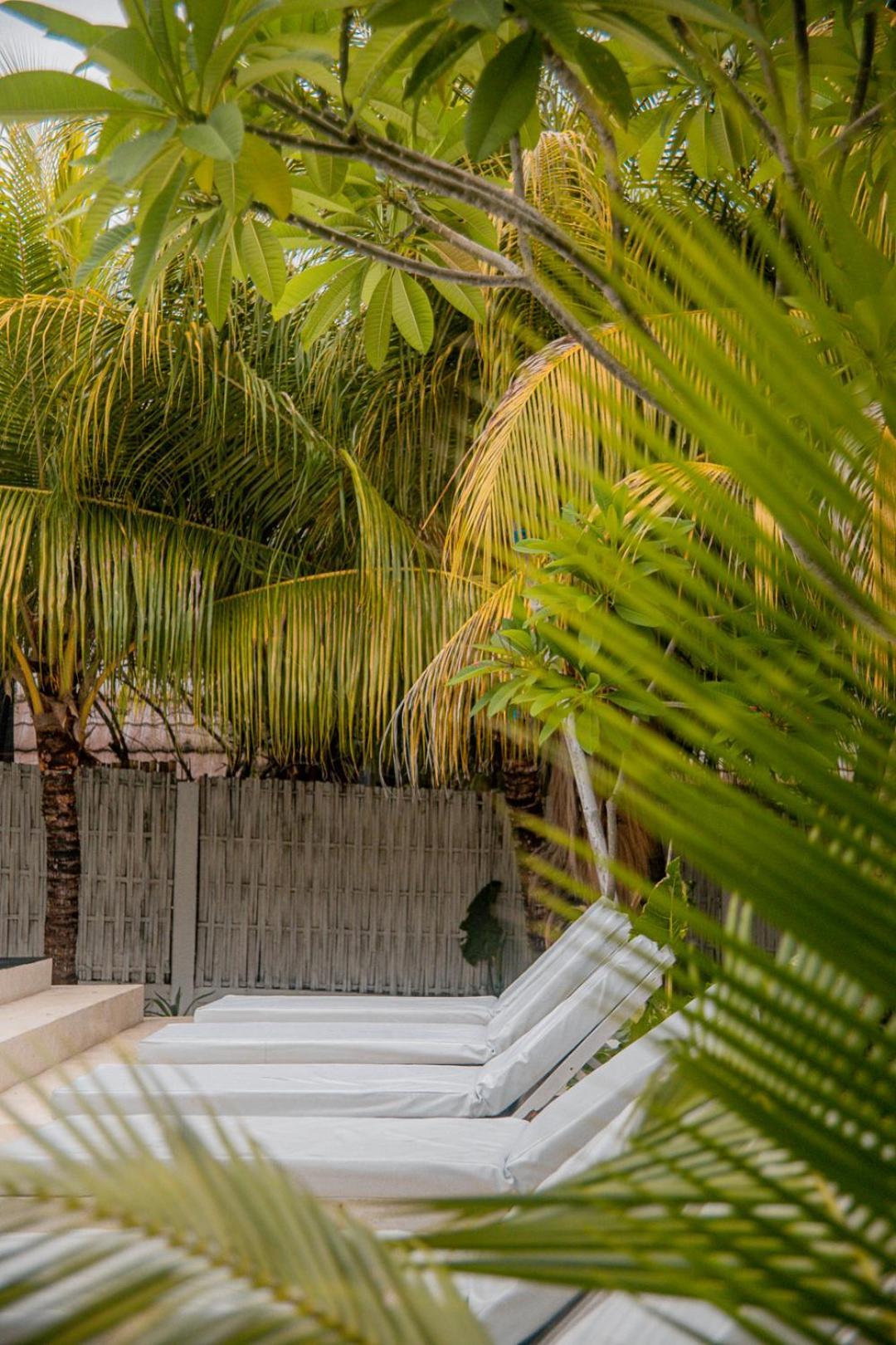 Hakuna Matata Resort Гили-Эйр Экстерьер фото
